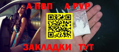 твердый Тара
