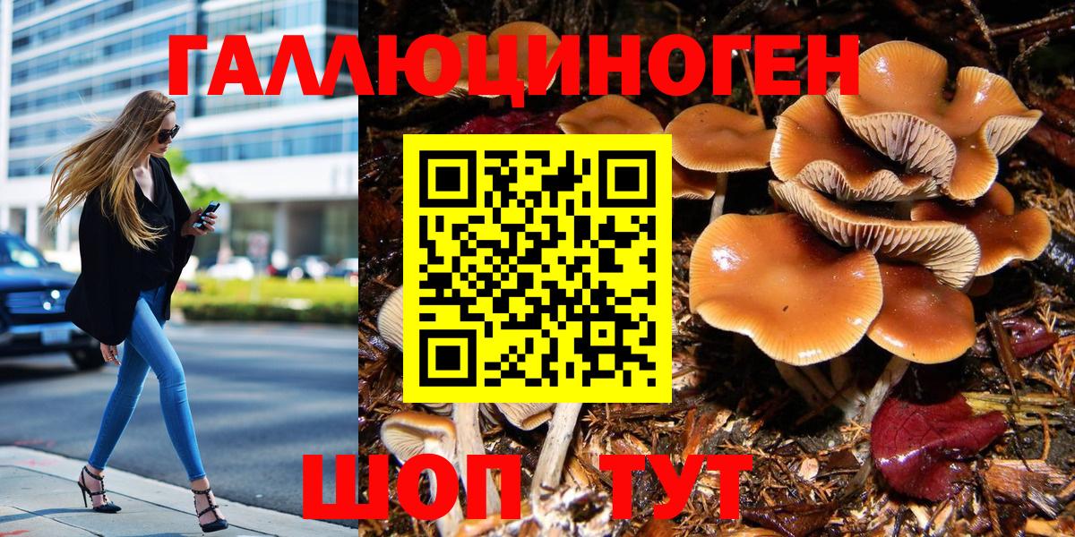 Владимир  Галлюциногенные грибы Cubensis  Вход с VPN  Псилоцибиновые грибы мухоморы 