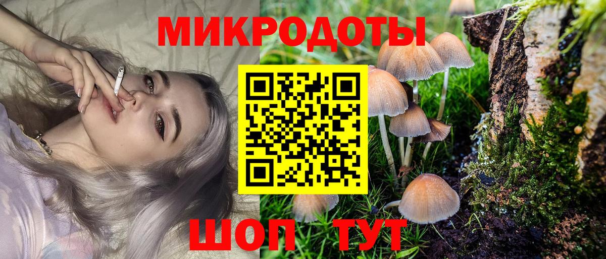 Псилоцибиновые грибы прущие грибы Владимир